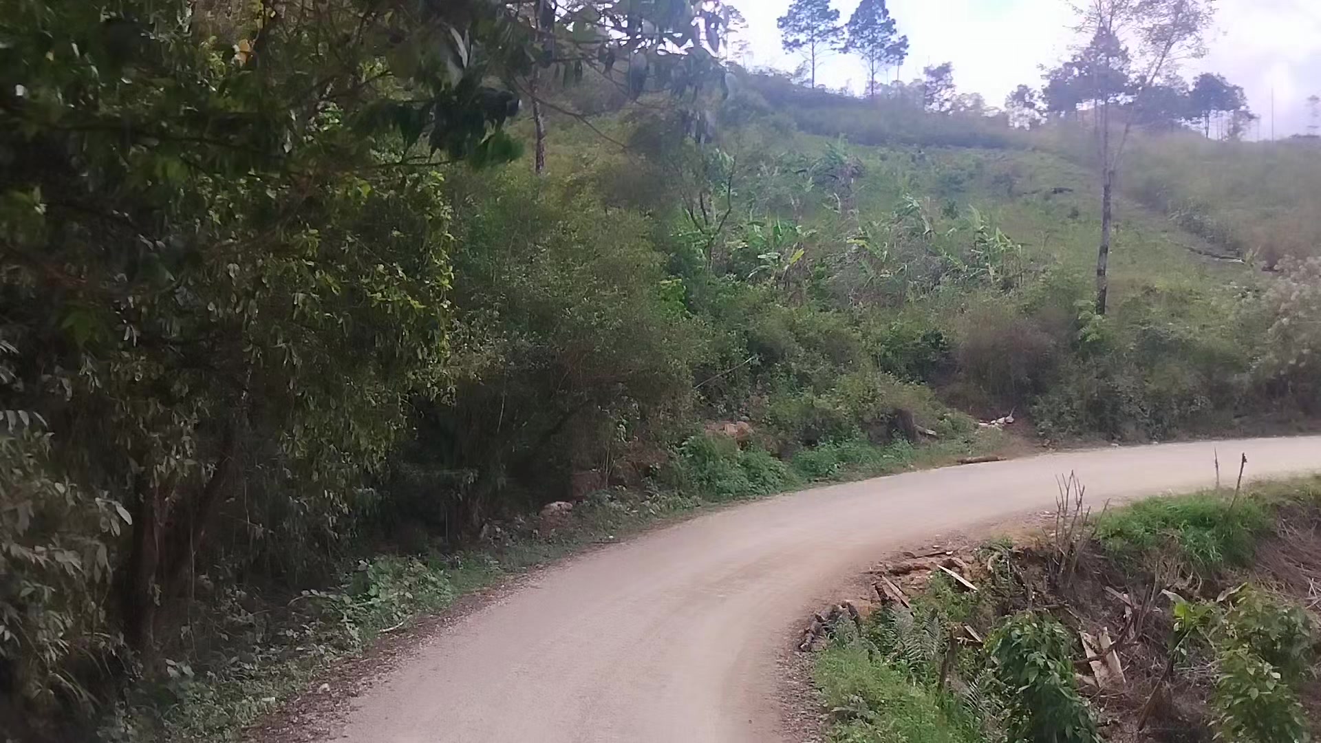 @Ismael Guill&eacute;n