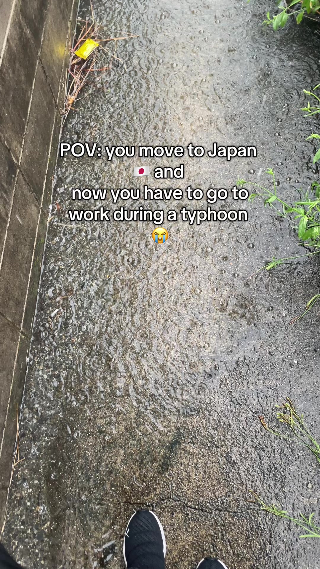 @J in Japan 🇯🇵🇿🇦