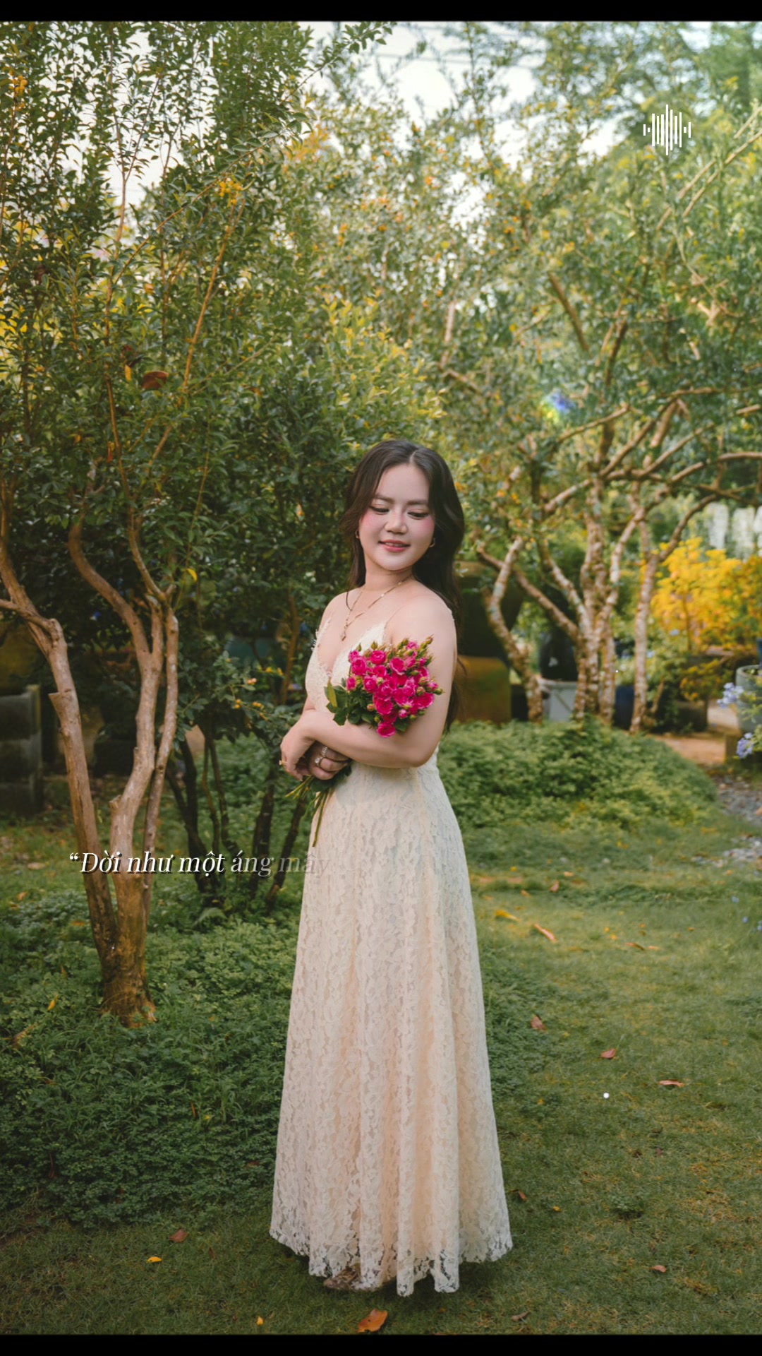 @Mậu Dần