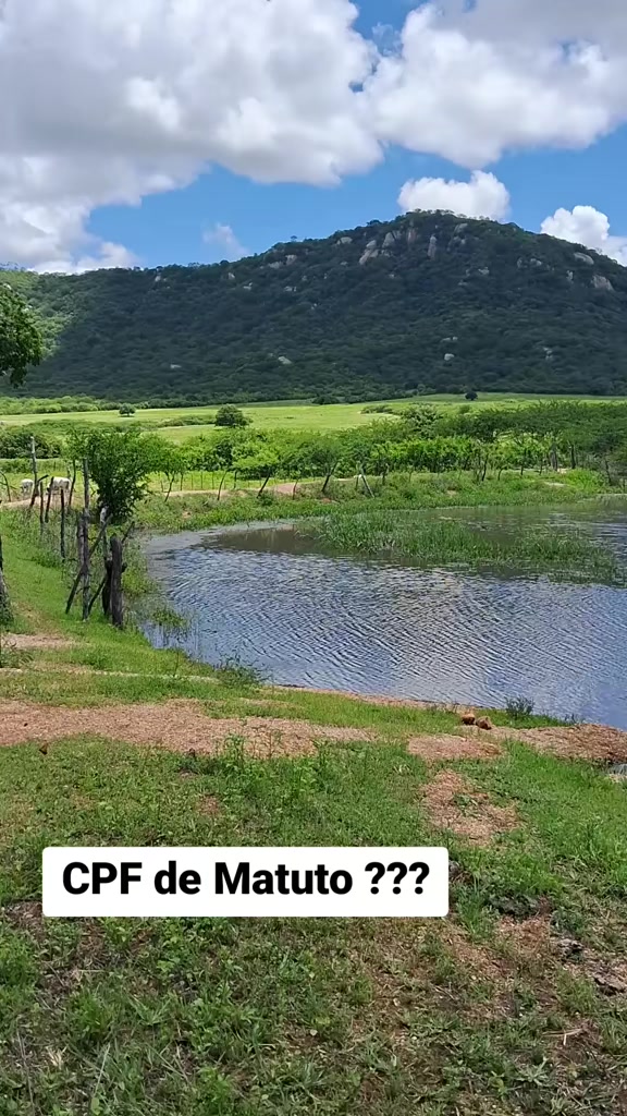 @Amante da natureza