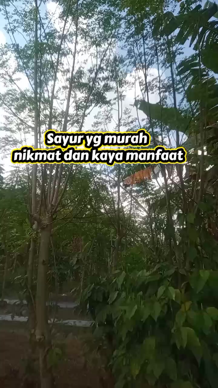 @Bunda Cipakkzizah