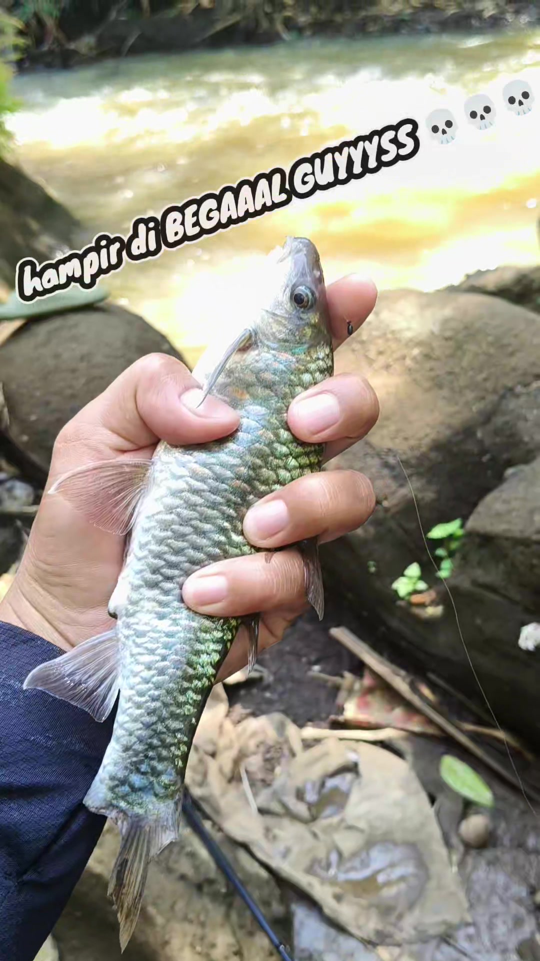 @BROTHER FISHING 46🐬
