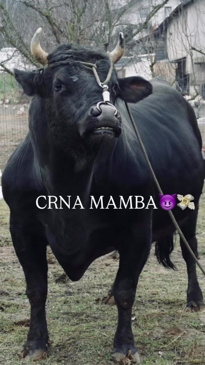 @martina.batista17