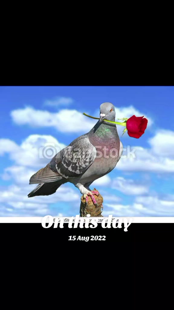 @chandan@