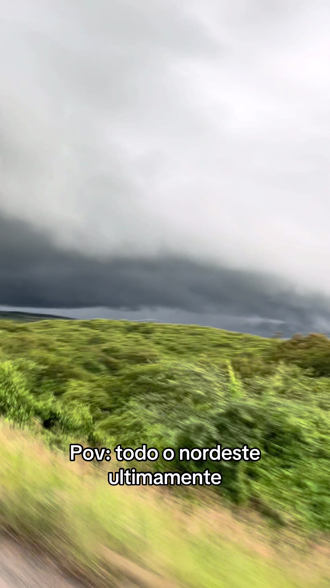 @Alaide Silva