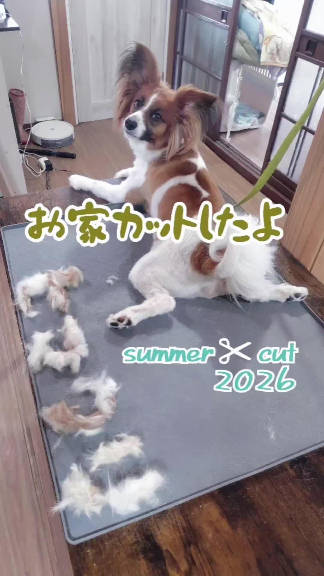 @デカパピひまわり君