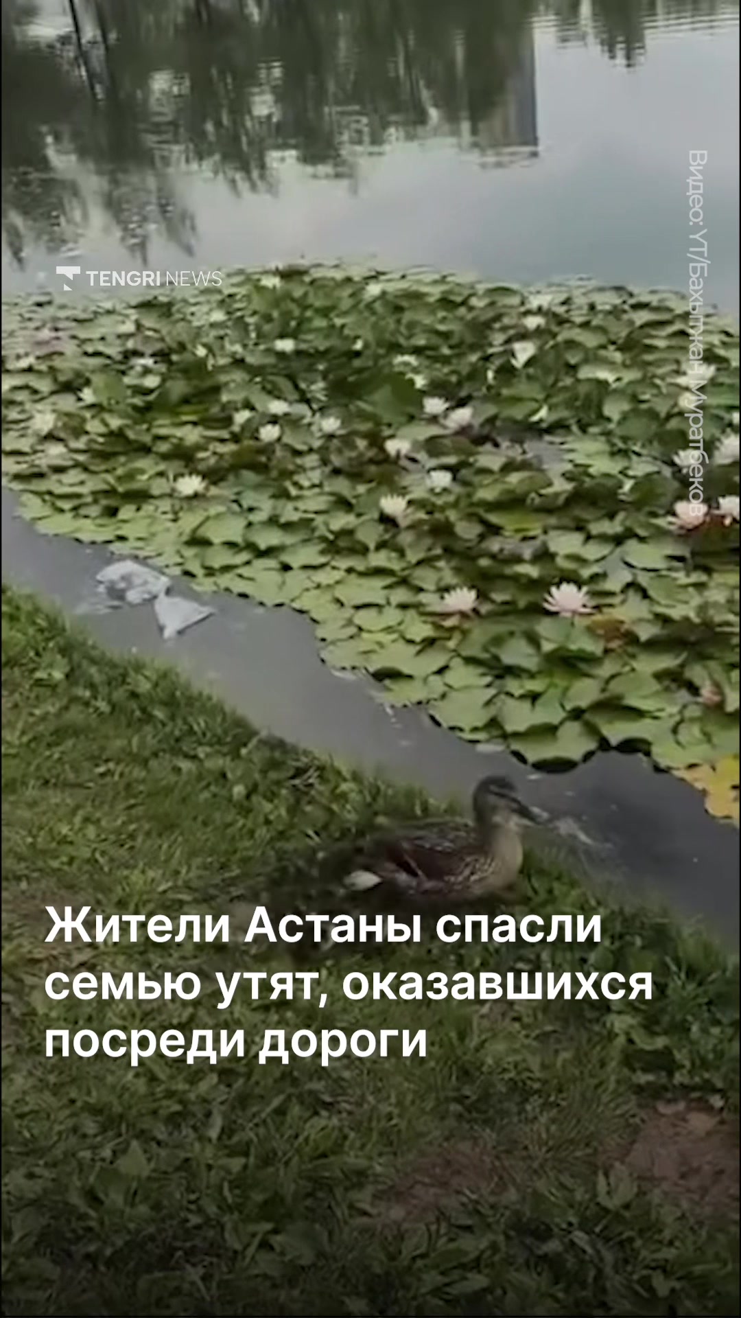 @Tengrinews.kz