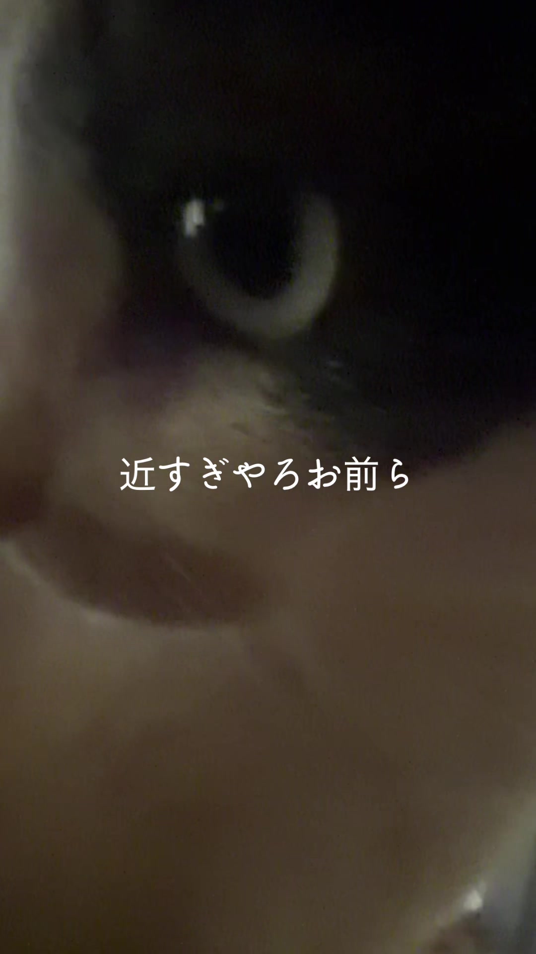 @rokusuke