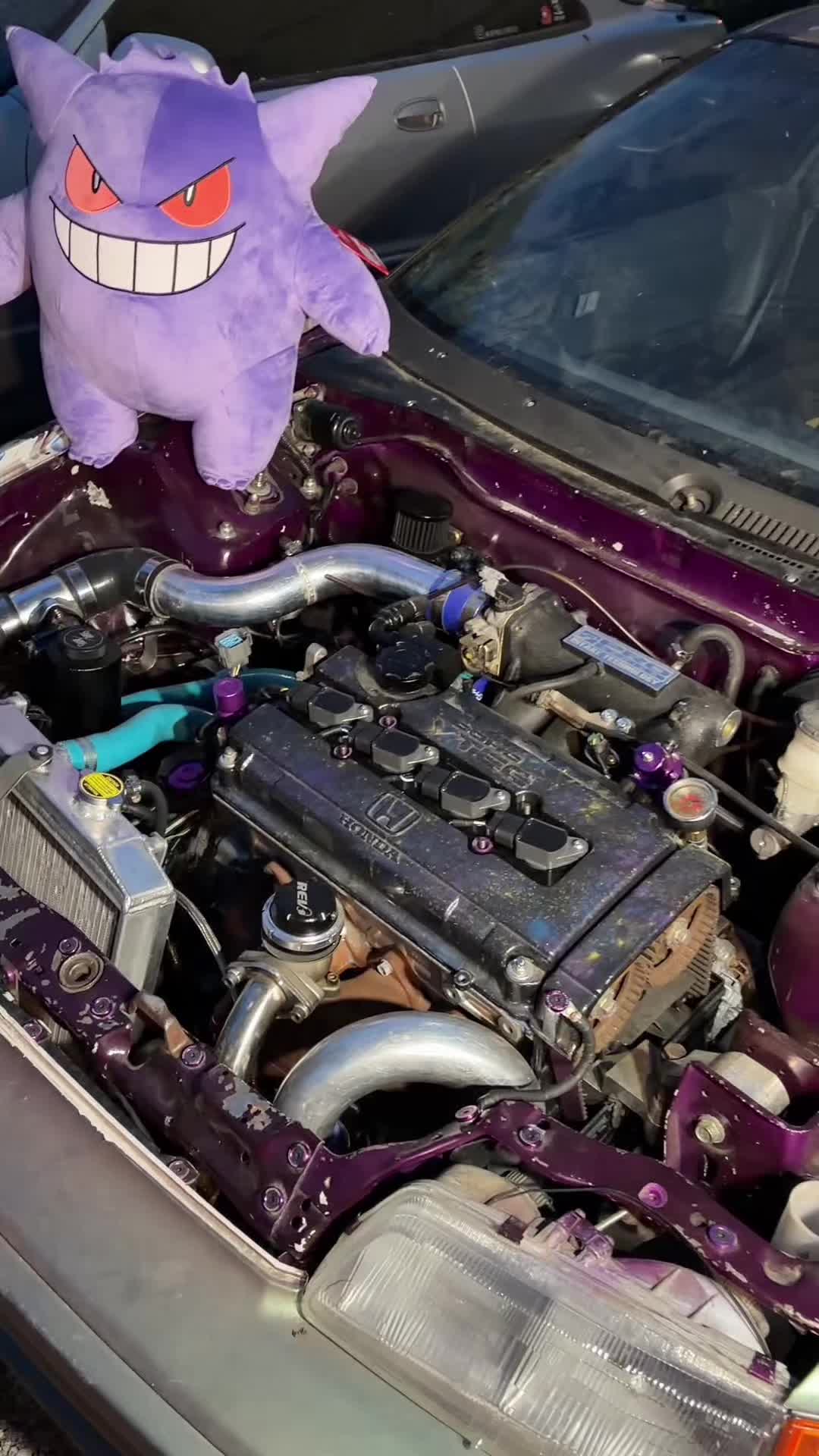 @mewtwo Integra