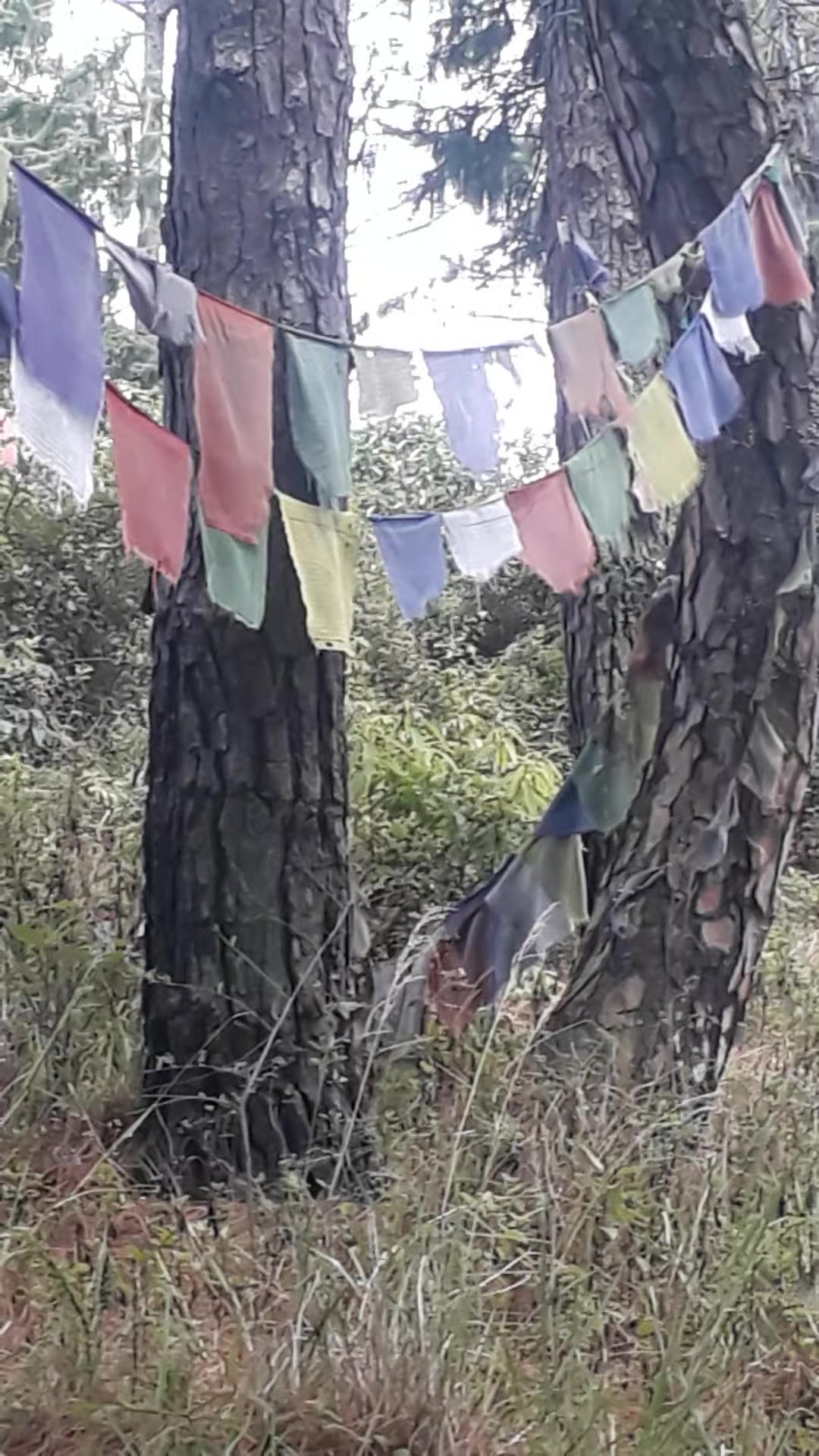 @ASHOK K.C/१०१🇳🇵101