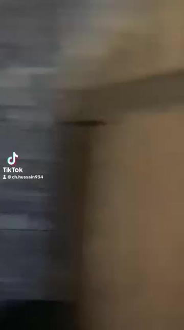 @Kaifadil247