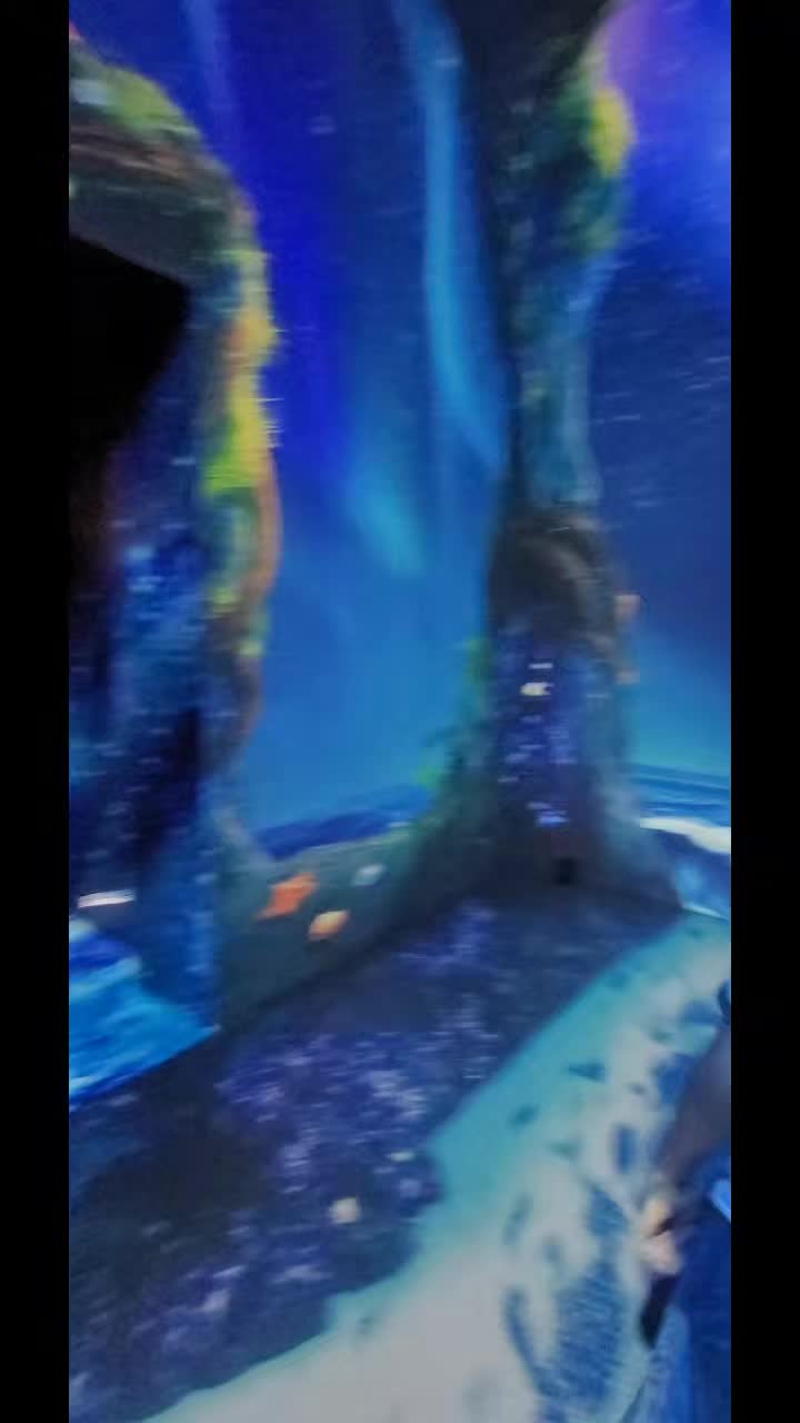 @soochoo💐🐬