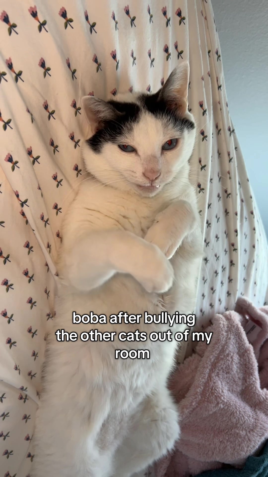 @boba