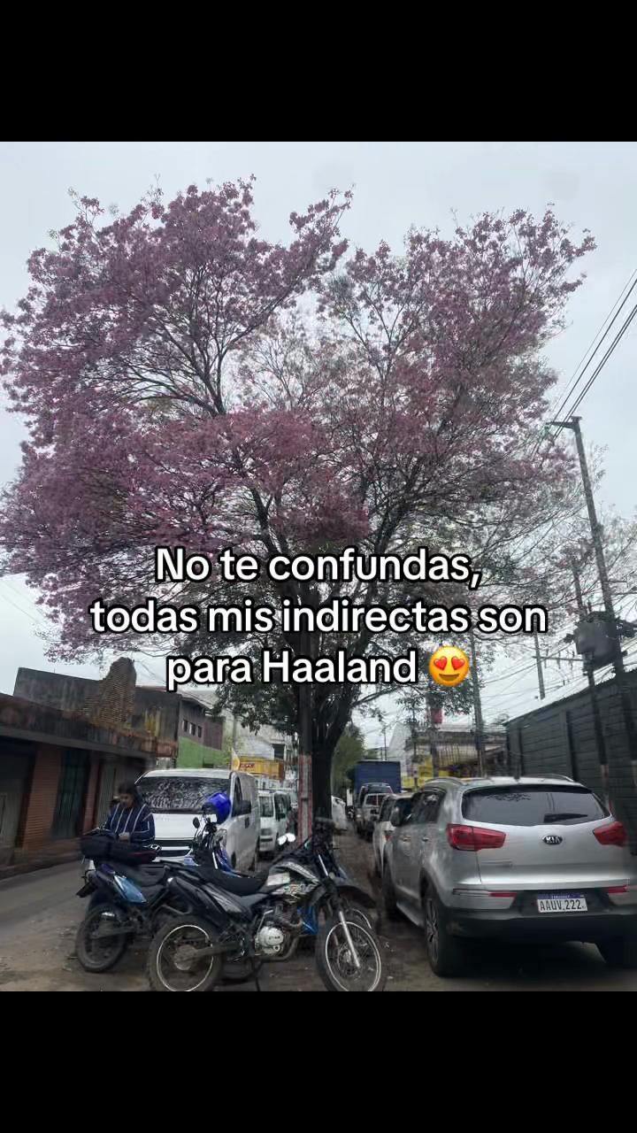 @Marielita 🦋