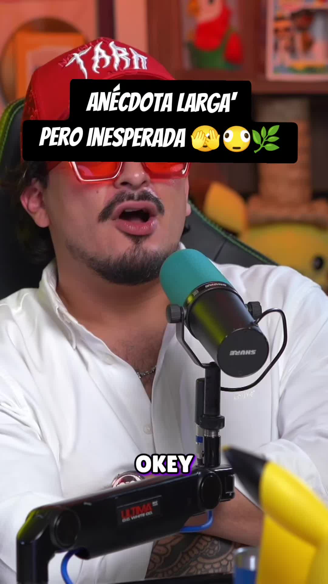 @Cortorrisa