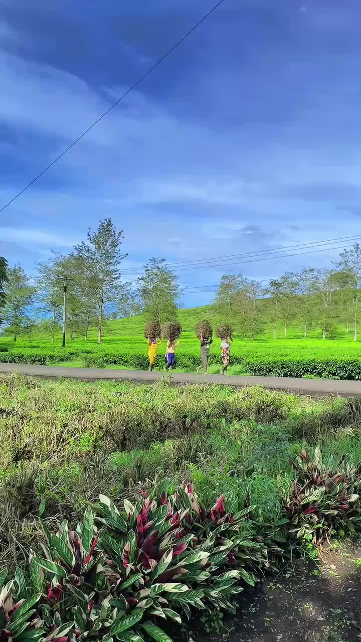 @๐๐๐ซ๐๐ฒ ๐๐๐ซ๐๐ข๐๐ง๐ญ๐จ