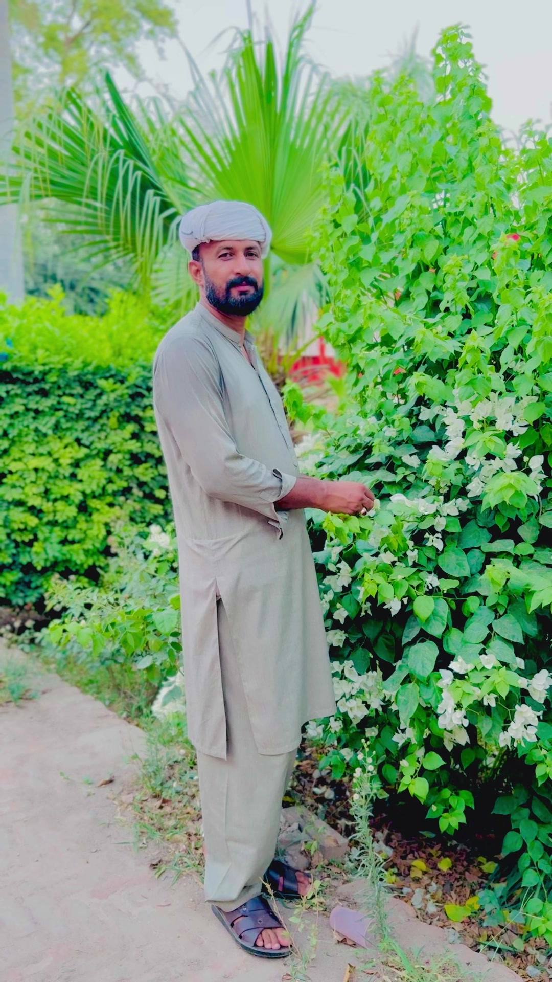 @Asad Mahmood Ludhiania