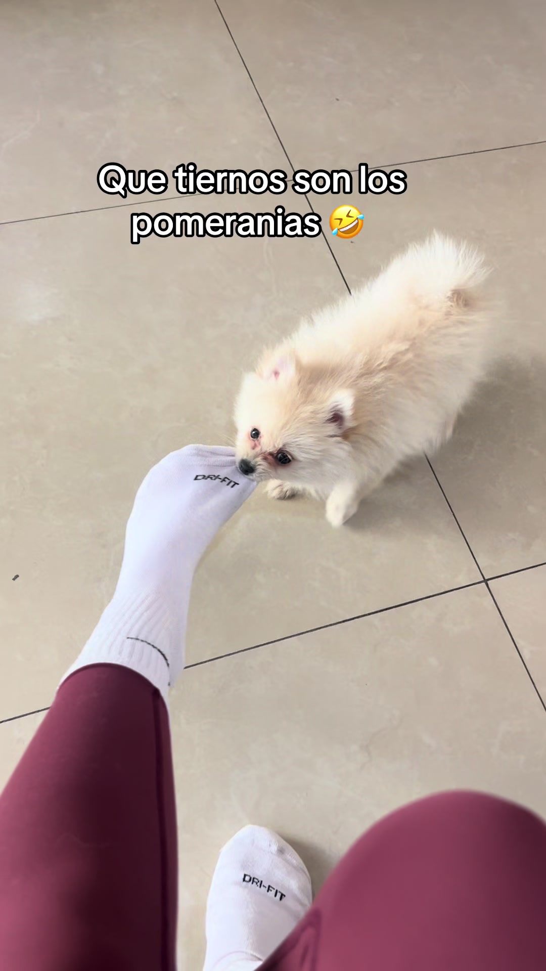 @Ale Rodr&iacute;guez