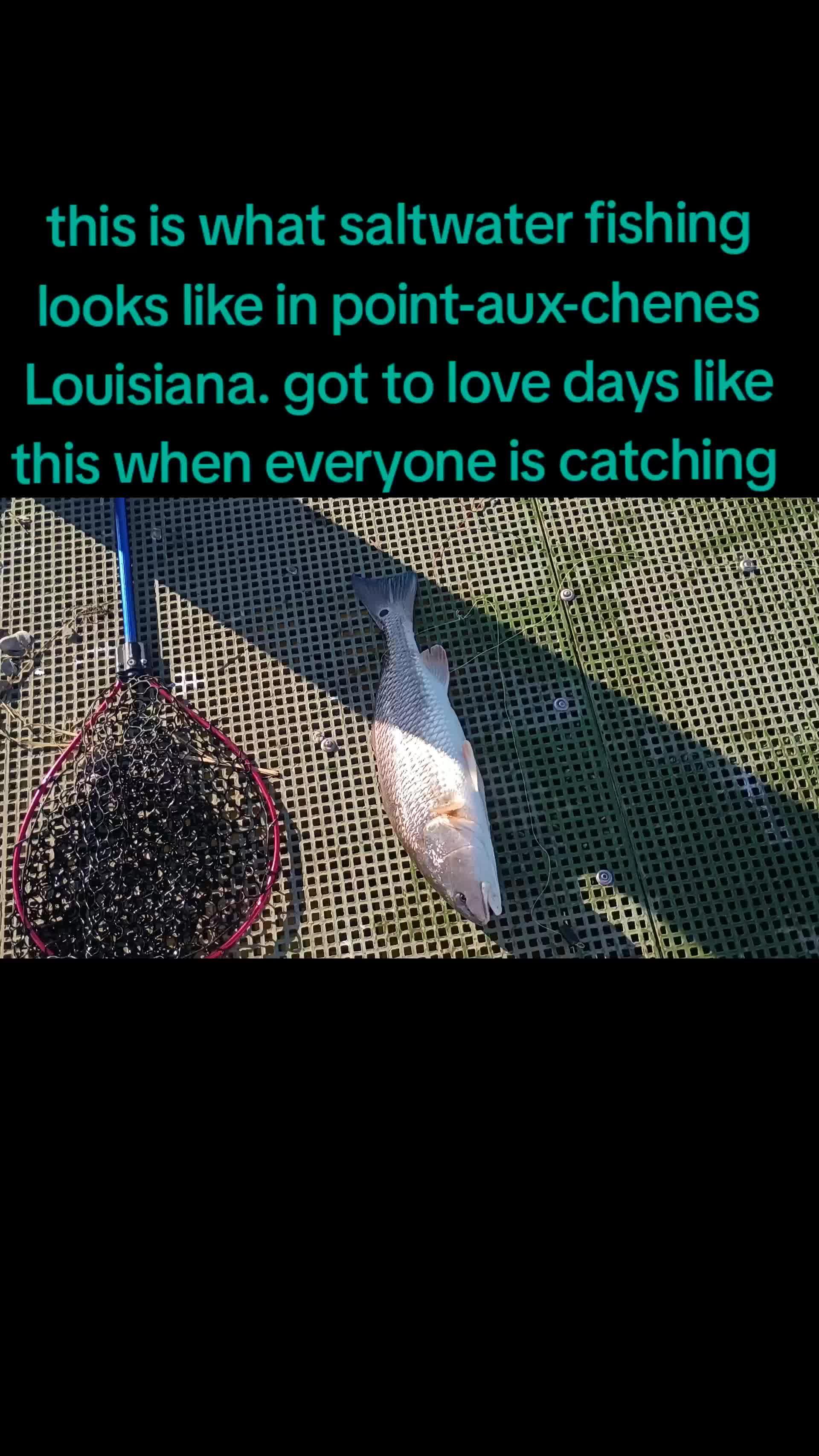 @SALTWATER SAB OUTDOORS