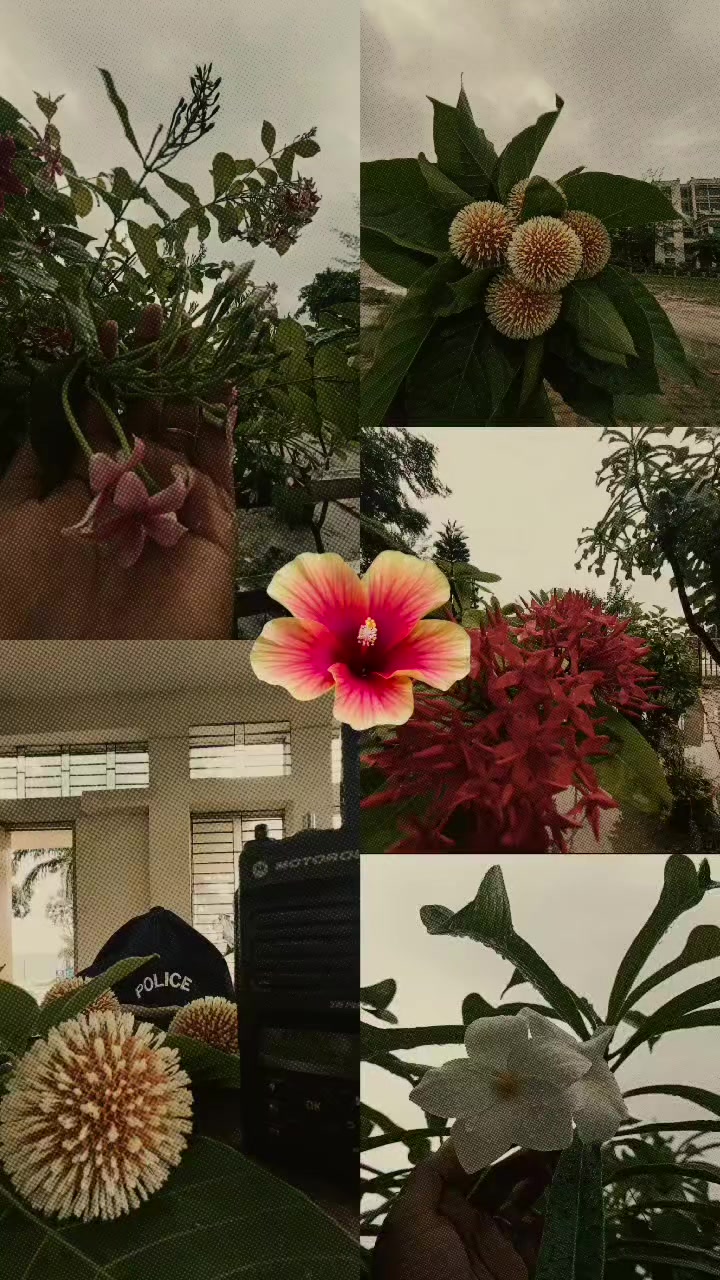 @Ck