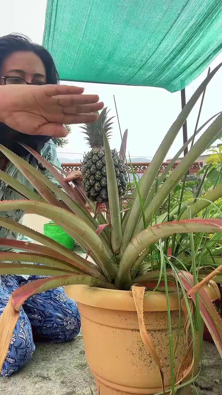 @Subhash.Talreja