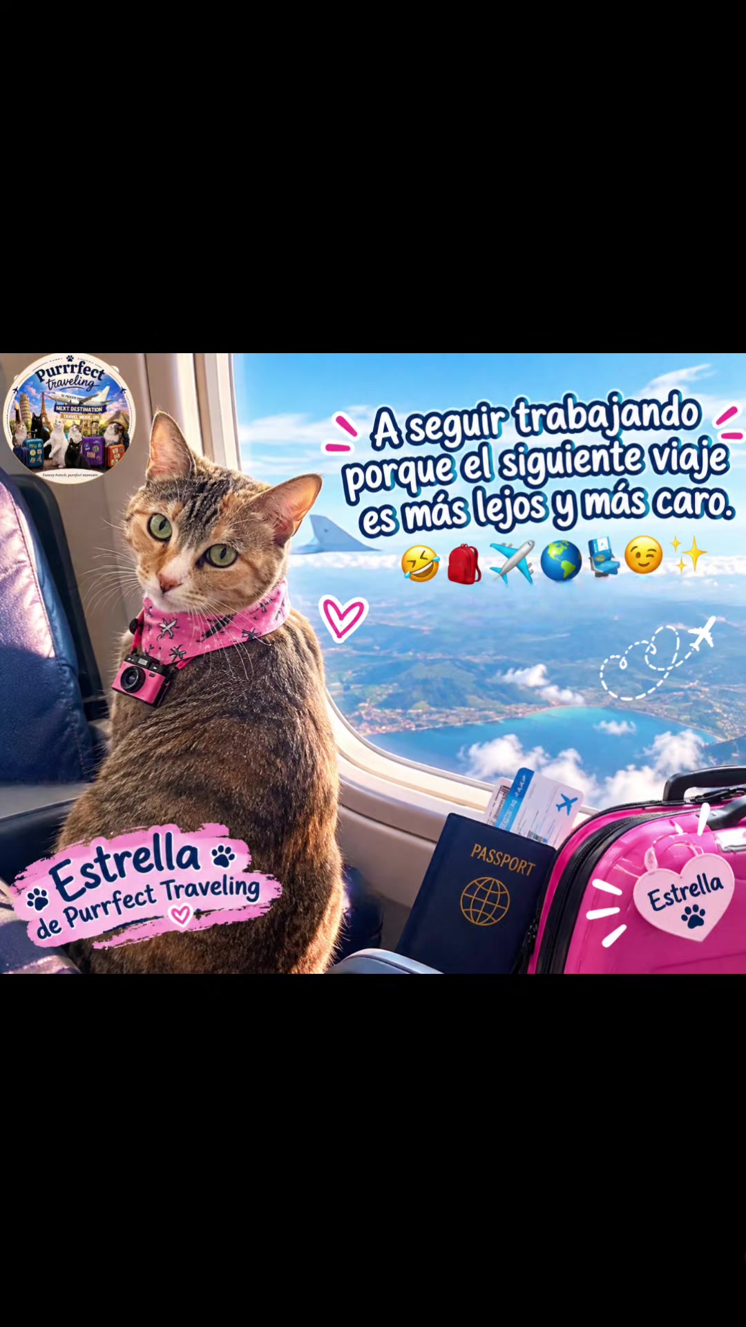 @Purrrfect Traveling