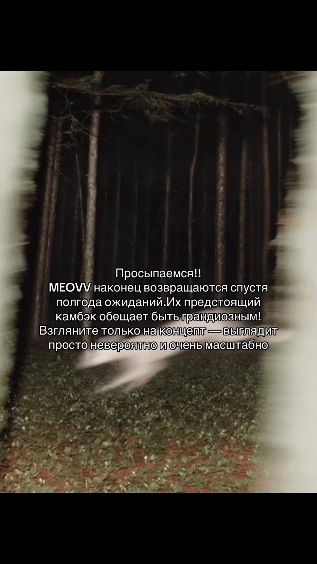 @🐈⬛помпом🐈⬛