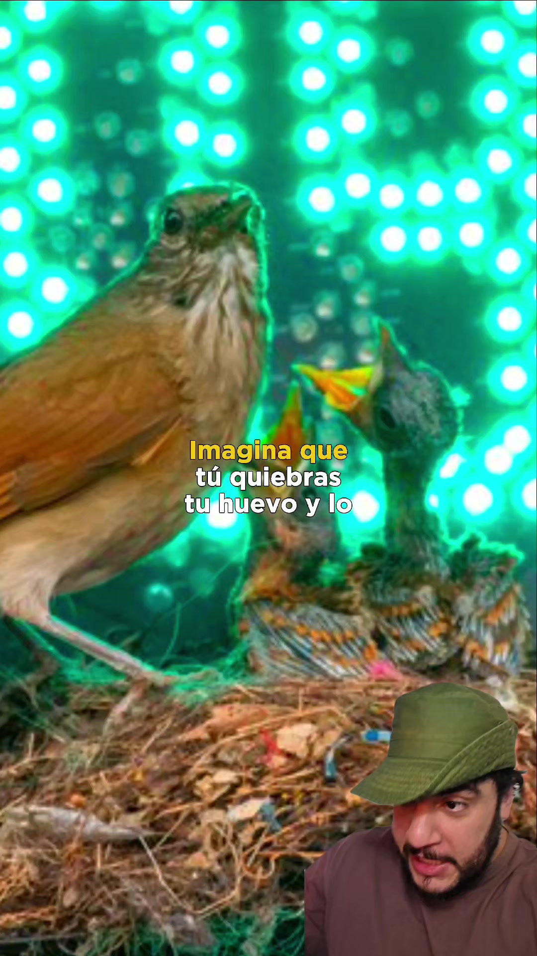 @Animaldex