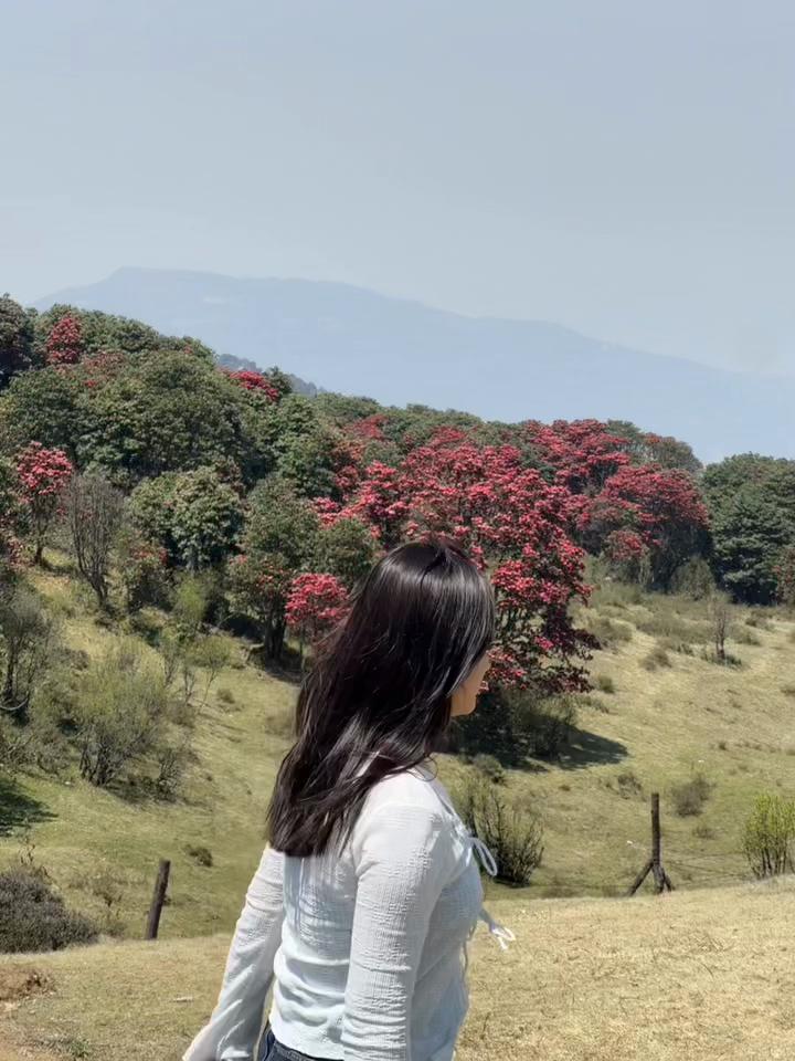 @SARU SUBBA