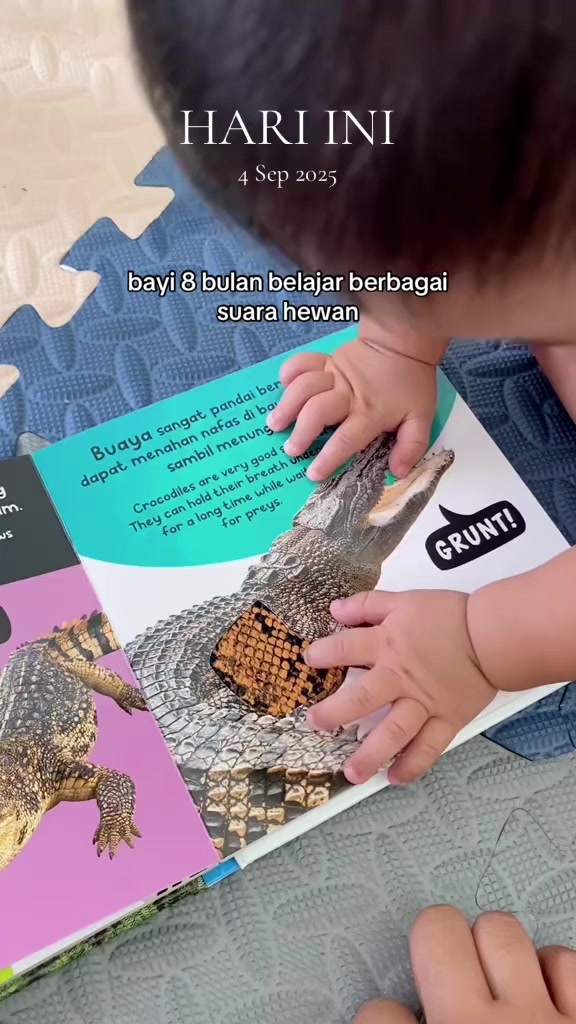 @seputarbumil