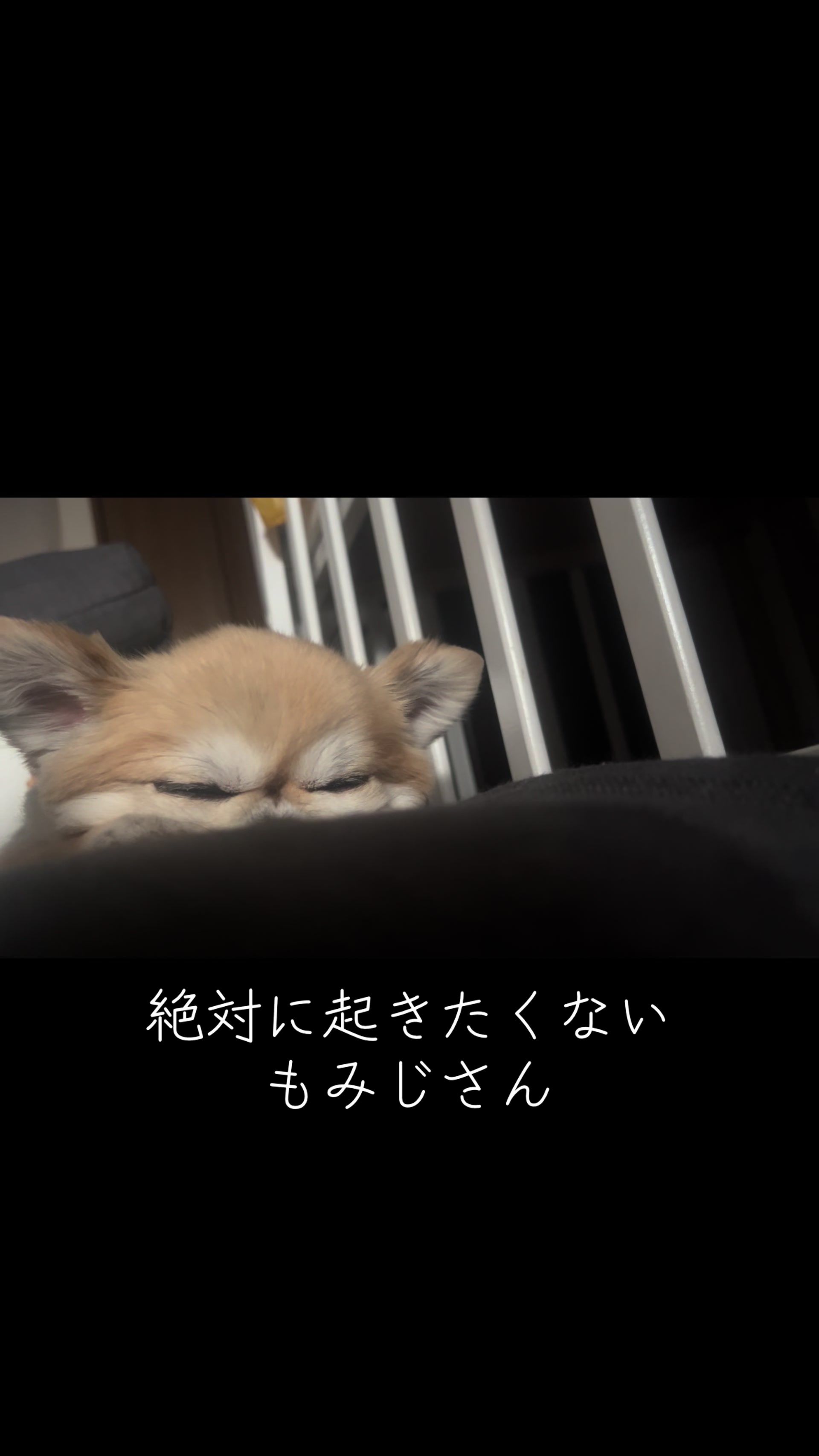 @もみぞう
