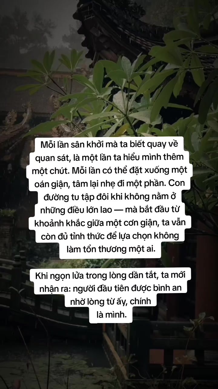@Hồng Nguyệt