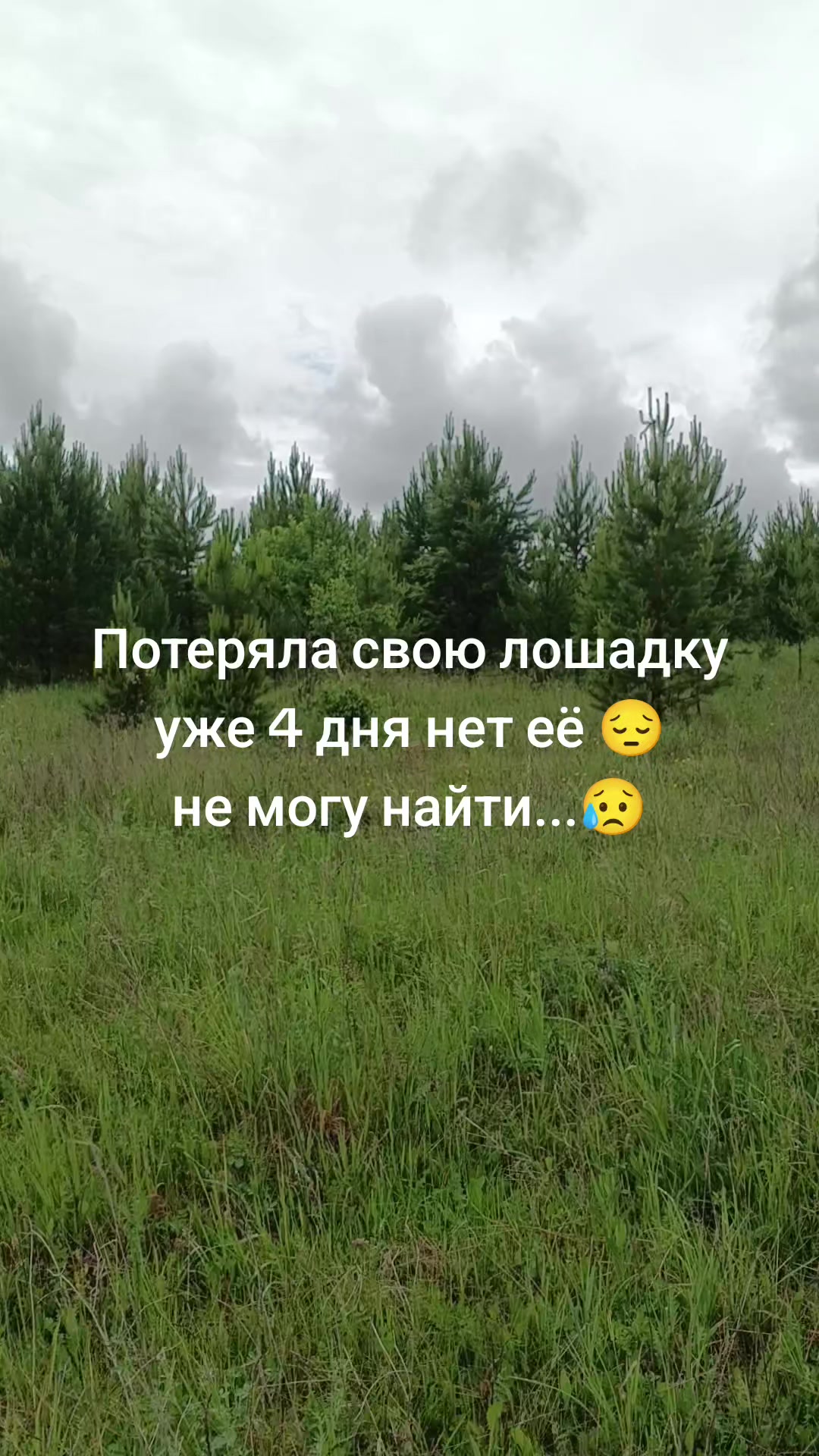 @Алёнушка