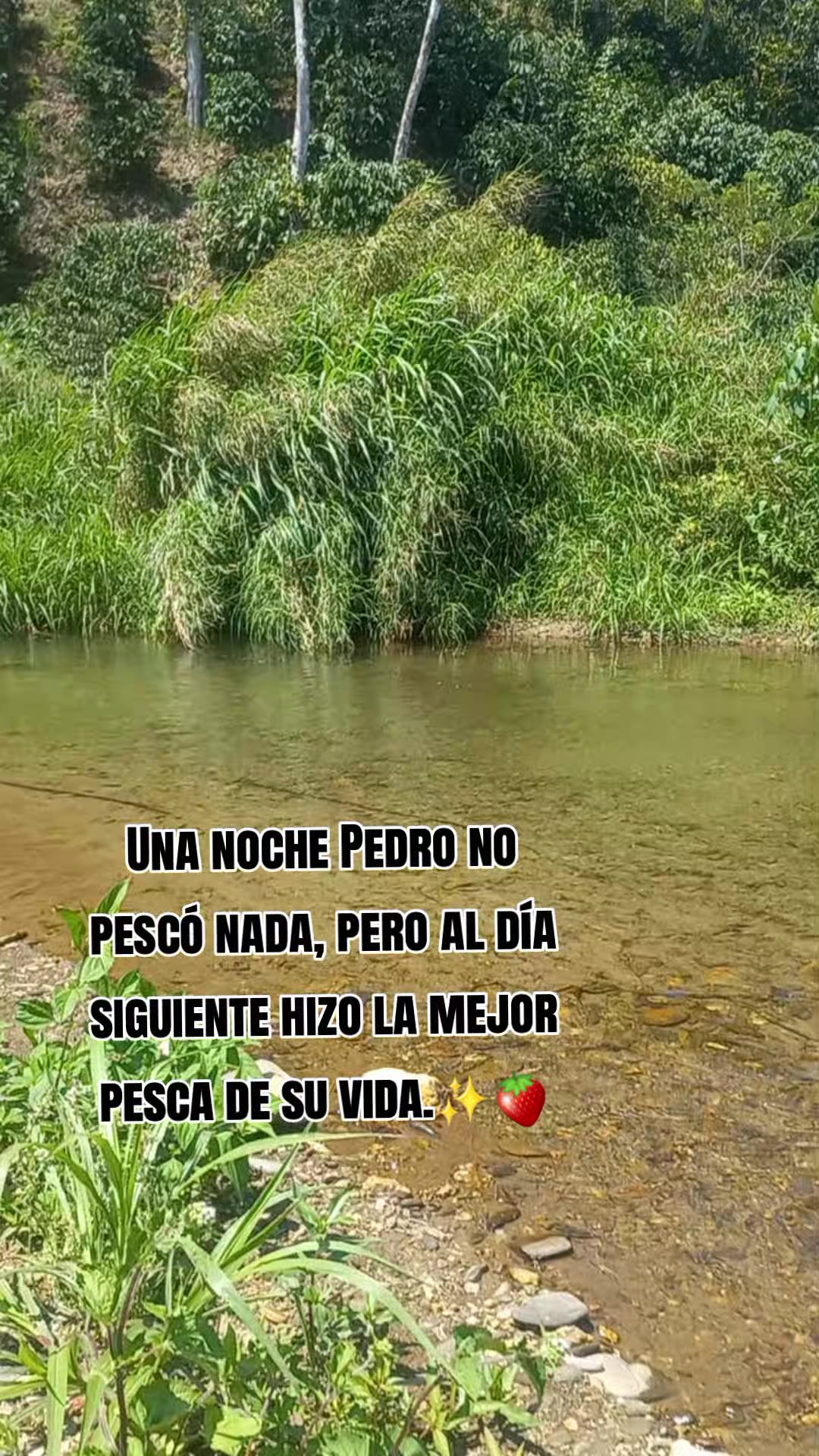 @❤️Anasus ❤️