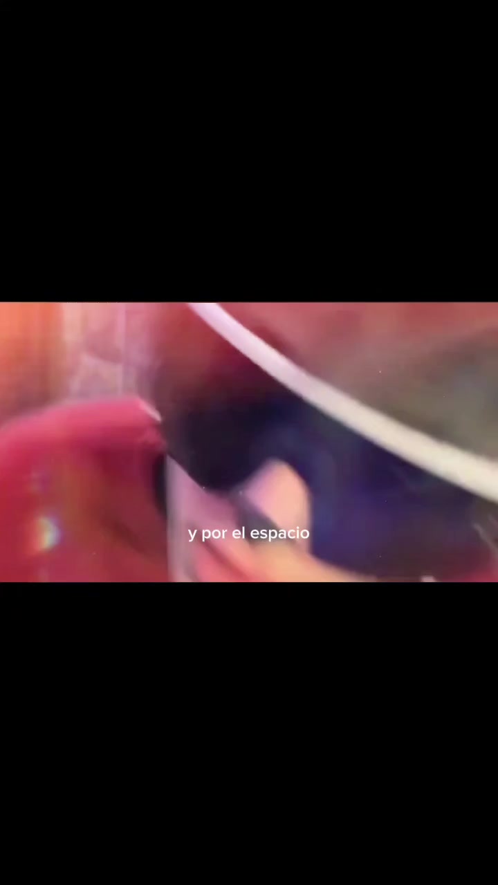 @️⋆.𐙚 ̊ ꒰ 𝒥𝓲𝓶𝓷𝓮𝔃 ꒱🐘⃝￮𓈒