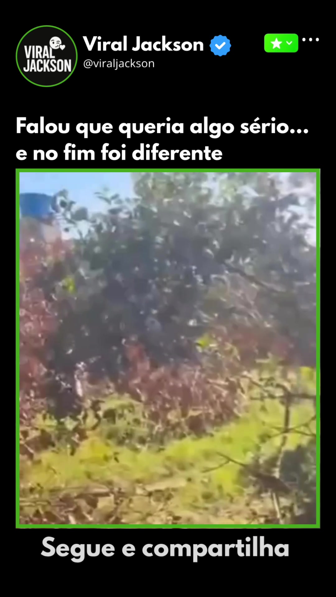 @Keilly Gomes