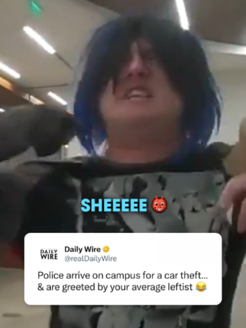 @Daily Wire