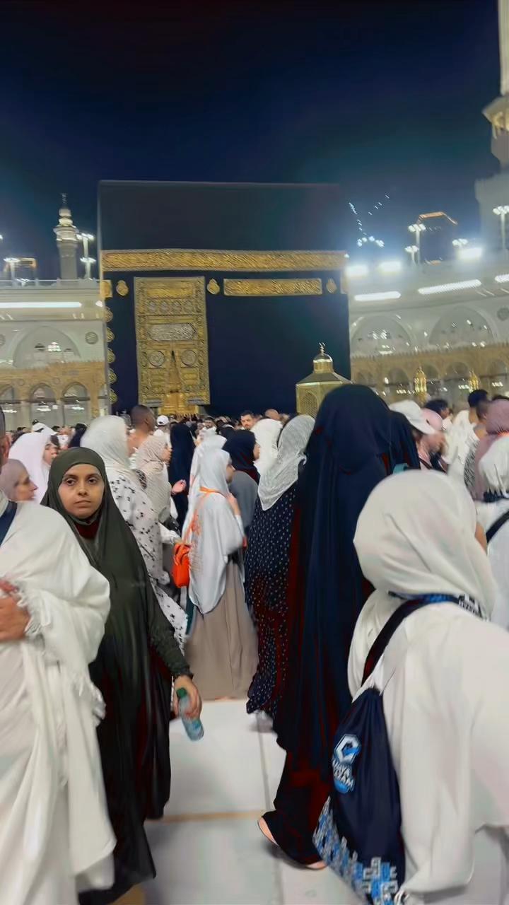 @🕊️ج✨🖤