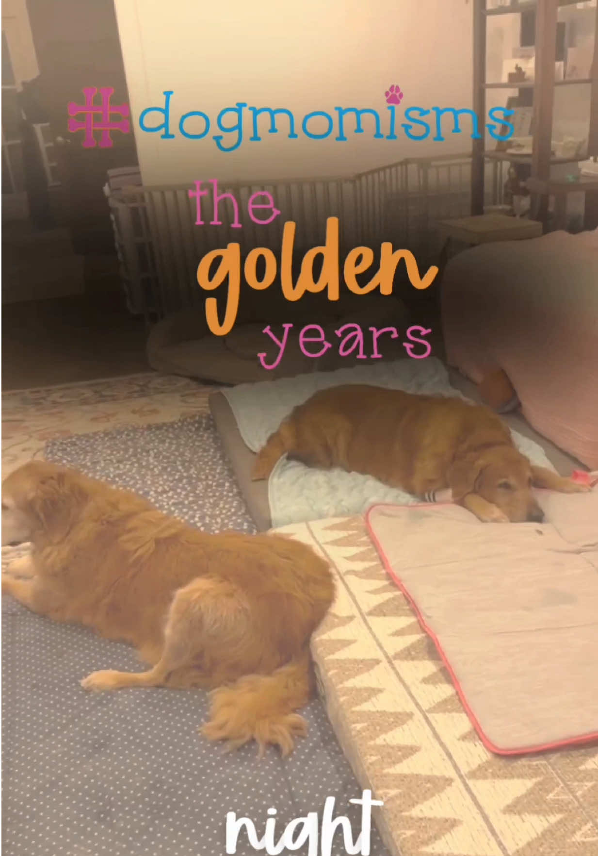 @DogMomisms