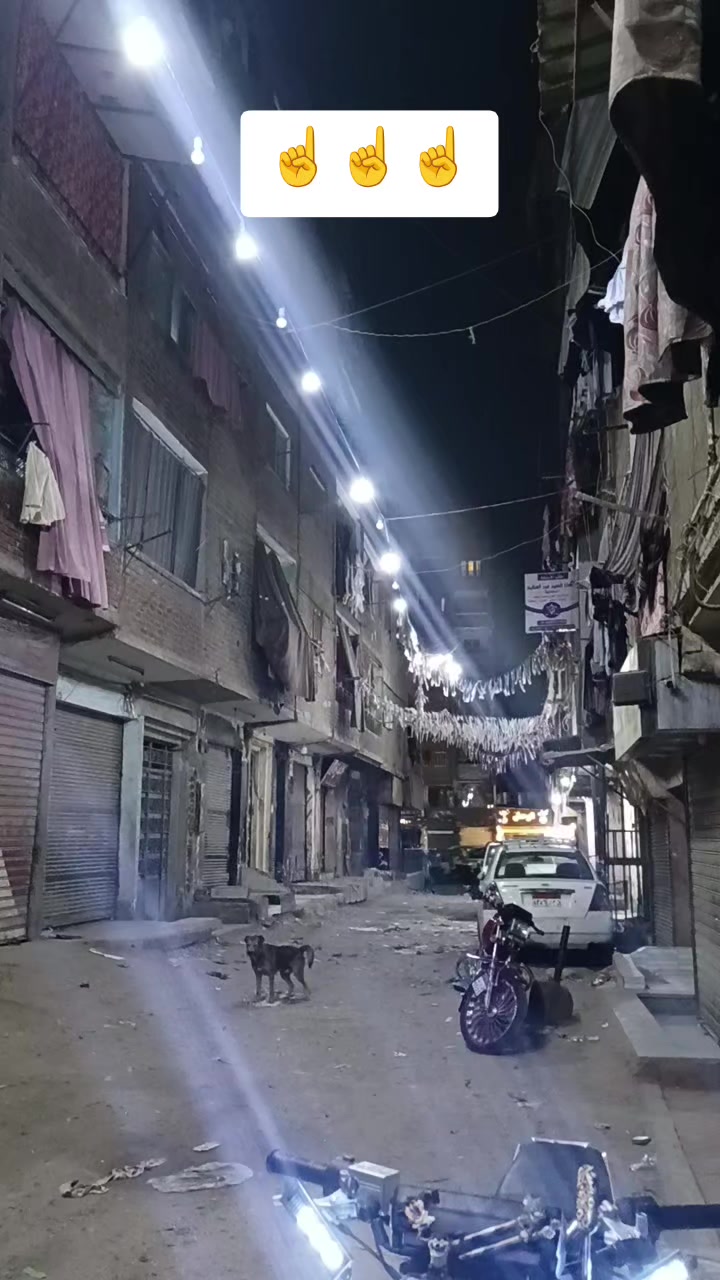 @محمود جمصه