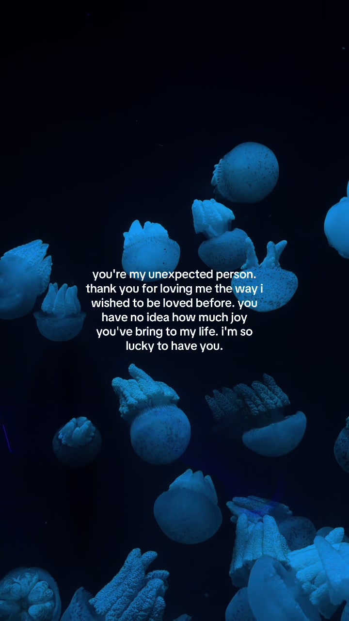 @something i couldn&rsquo;t say