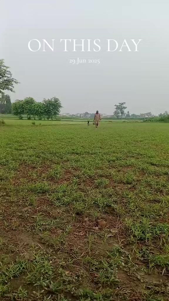 @aliraza12344
