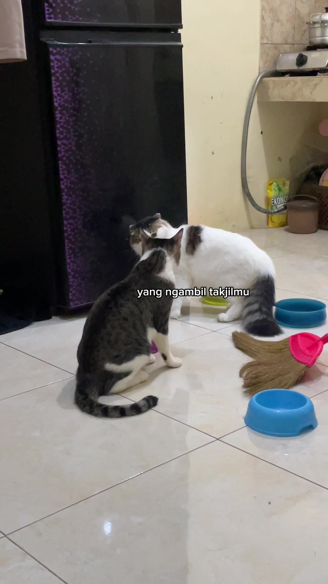 @three_muscateers