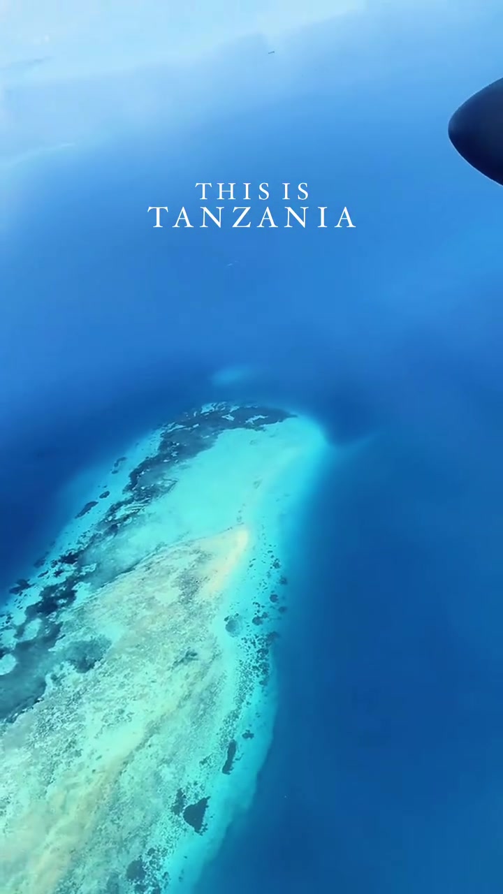 @Zanzibar 🇹🇿