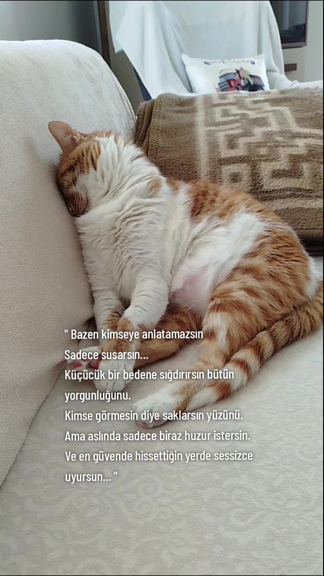 @KAVUN