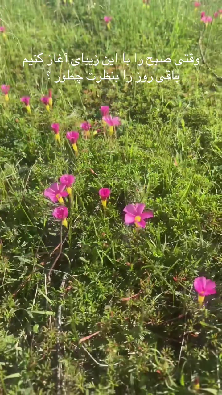 @🇦🇫30MǍ🇦🇺