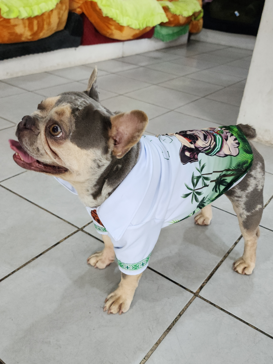@FityGuau Moda canina y Felina