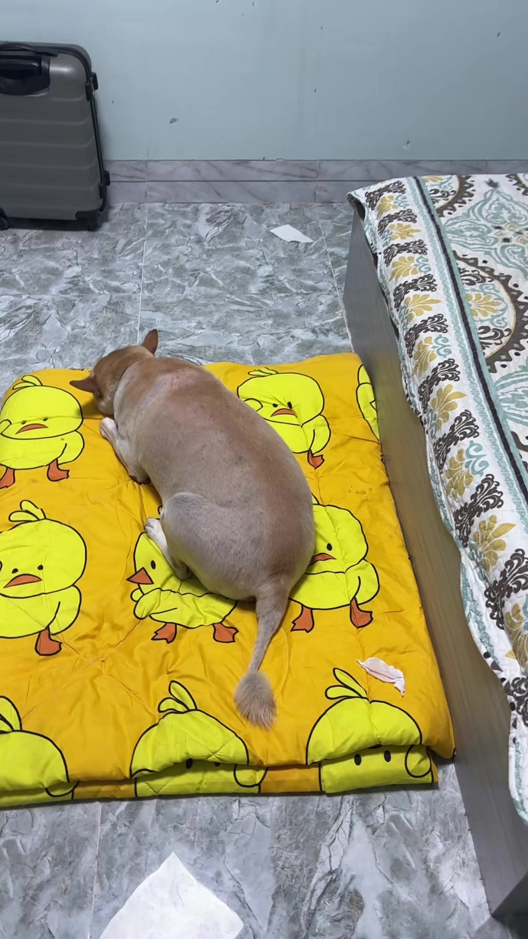 @Linky Hồ