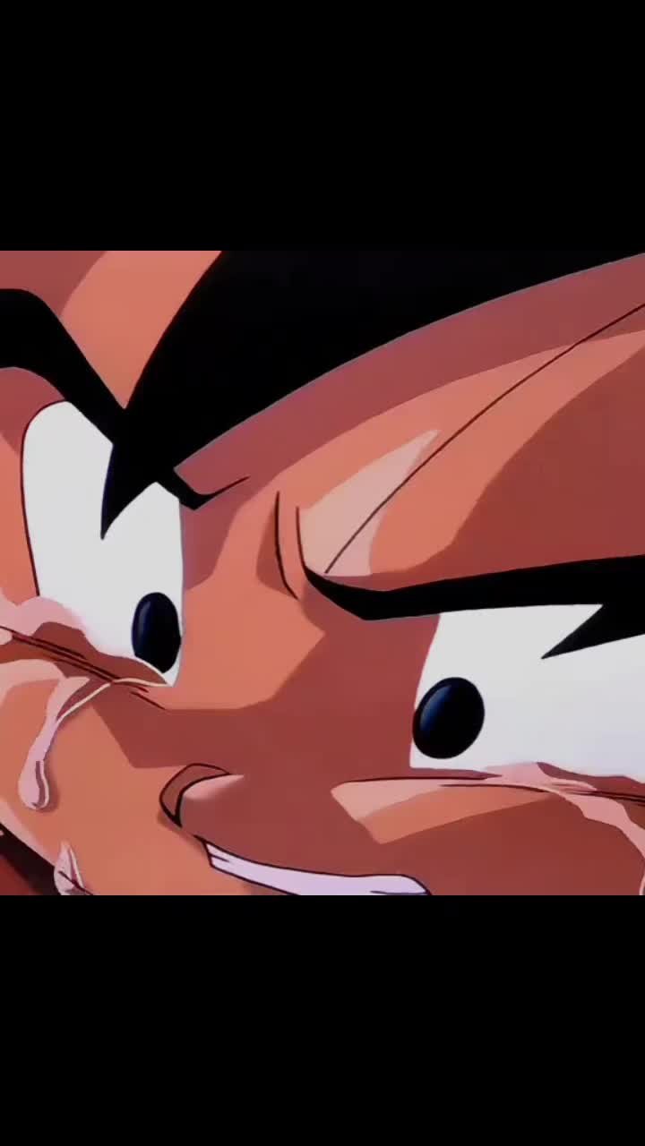 @bloodhoundliljeff