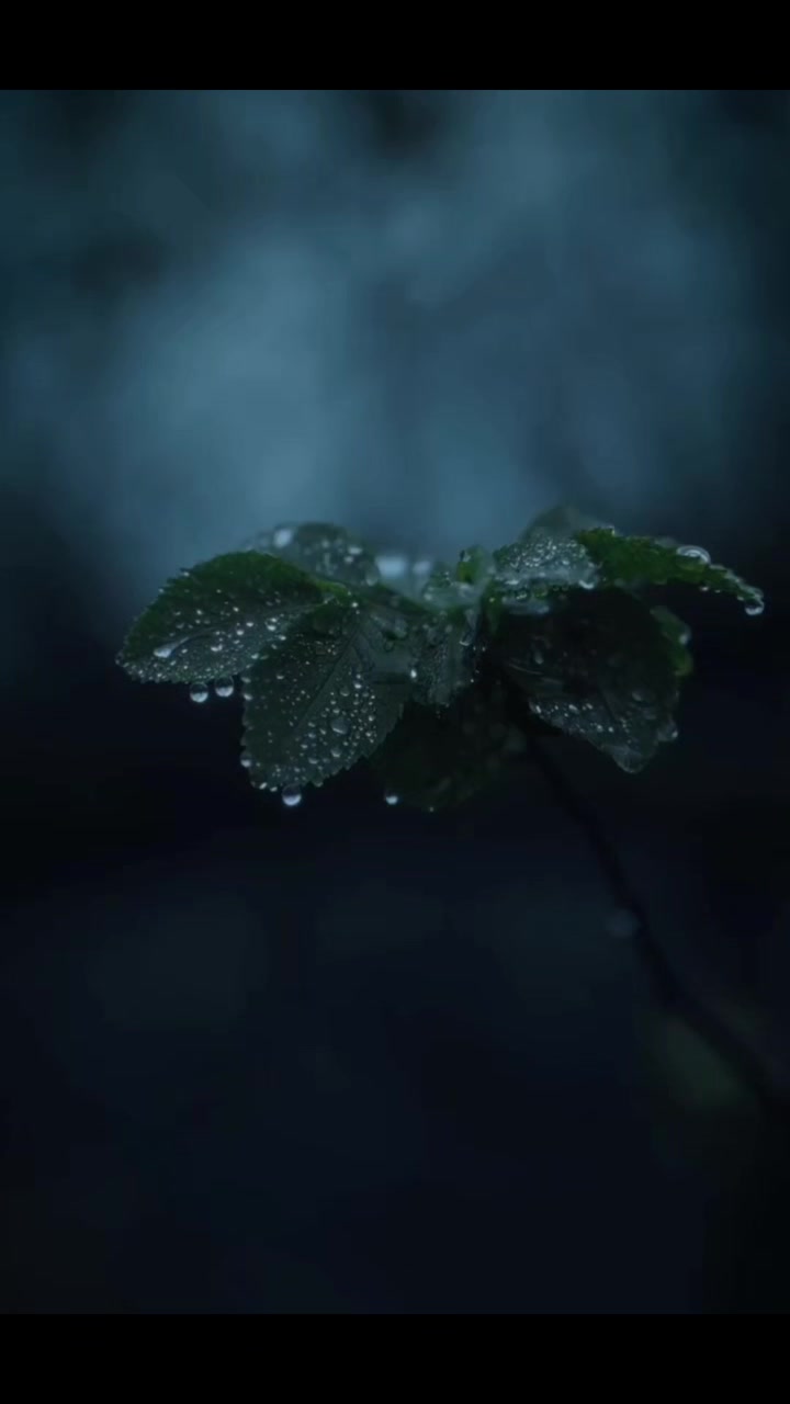 @Dark